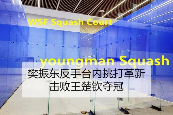 樊振东反手台内挑打革新 击败王楚钦夺冠